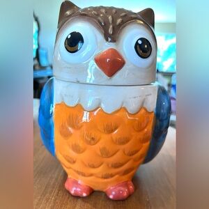 Colorful Owl Earthenware Cookie Jar